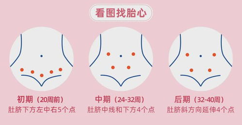 一、先说个名字——“胎儿”到底该叫啥？