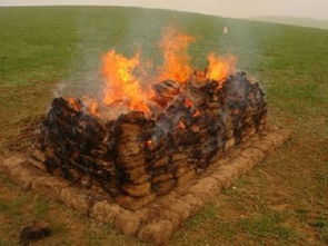 火化后不需要墓地风水，这是真的吗？