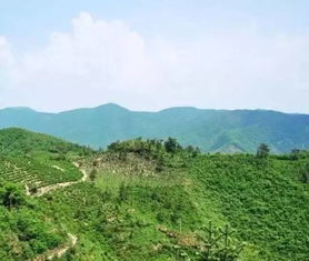 被遗忘的角落：平山邮编的冲突与魅力