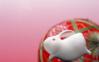 属兔女本命年感情运势如何，送什么礼物最合适？