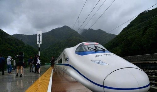 三亚，那个让人又爱又恨的地方
