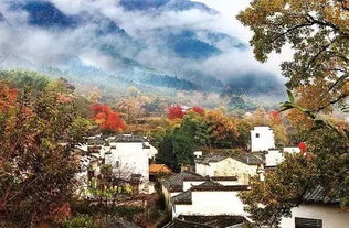 二、 桃花坞：江苏的世外桃源（也许吧？）