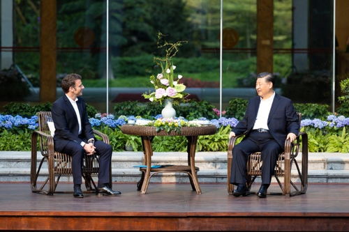 上海相亲：古今交融，传统与现代爆款婚恋风尚