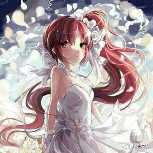其他正直小天使