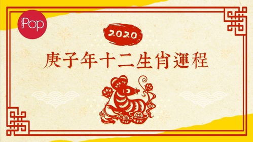 1972年属鼠的人今天运势如何？
