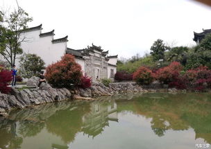 关于美食的吐槽