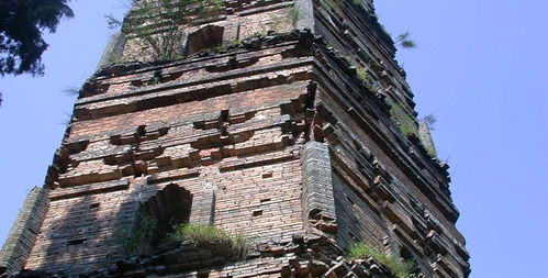 国清寺门票真实相较大对外公开