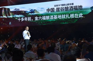 案例细节：具体项目与应用（噪音版）