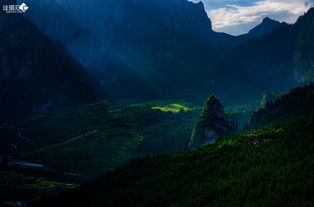 深入调查：冒险进入深山（后悔死了！）