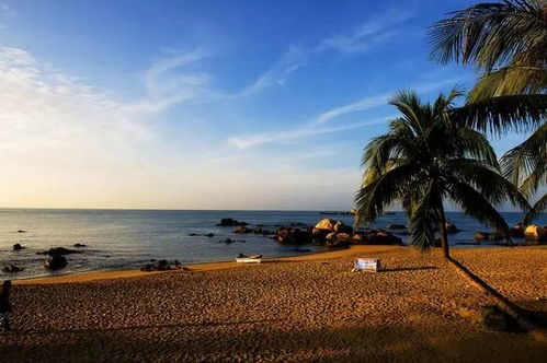 海南岛东部：一场精心设计的旅游骗局