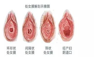 风水学中，女人月经对家居风水有何影响？