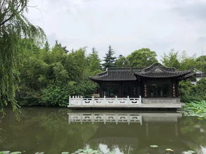 2. 坐船还是走路？这是一个问题！