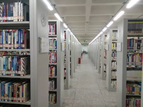 深夜图书馆的玄机与五行之秘