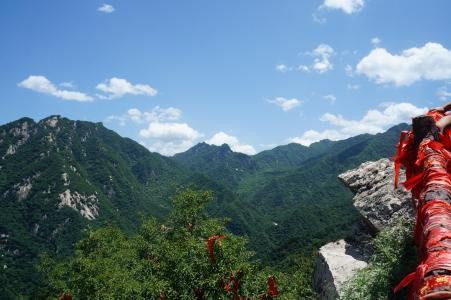 翠华之美， 一探究竟