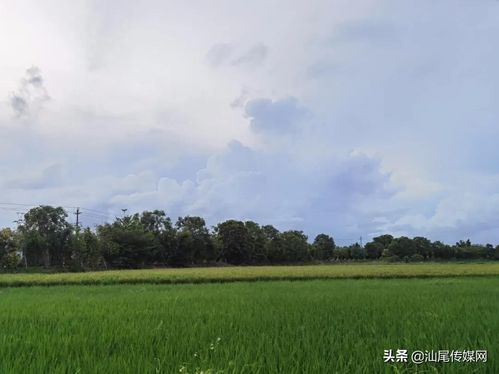 网红谈五行穿衣，他们的穿衣风格真的这么大胆吗？