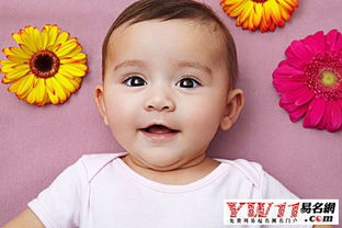 刘姓虎年男宝宝取个哪些名字既吉祥又响亮呢？