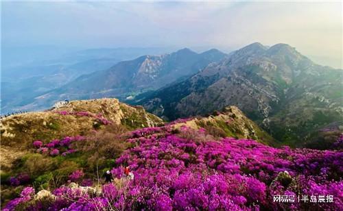 大黑山：杜鹃花海季