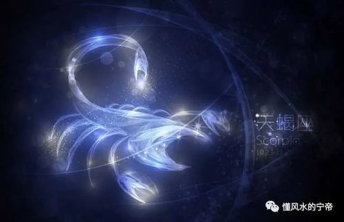 第2章：神秘面纱 - 天蝎男到底在想什么鬼