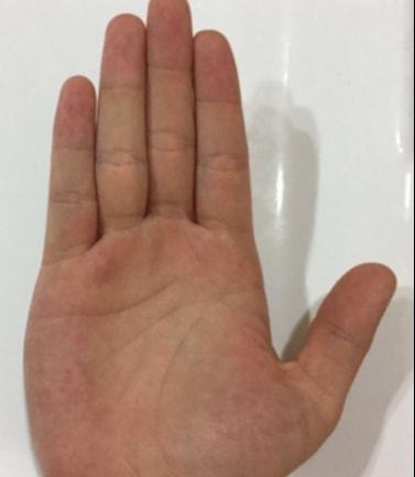 鼠年黄道吉象加持