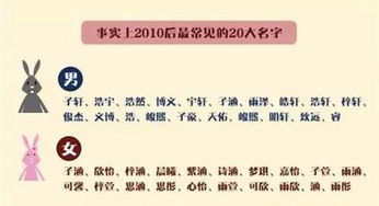 名称选择指南
