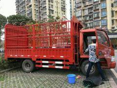 重庆搬家风俗：传统与现代融合，搬家必备攻略