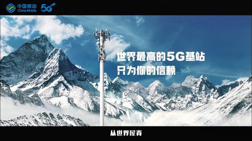 别被“半价”冲昏头脑