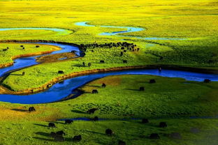 黄龙(彩池奇观)