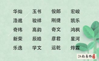 二、 “张”姓与“谱”字的碰撞：传统方式与现代化交织