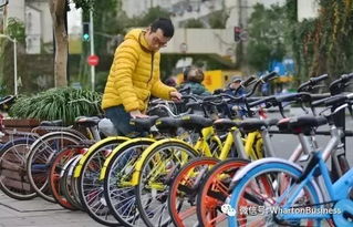 自驾？跟团？不如骑共享单车！