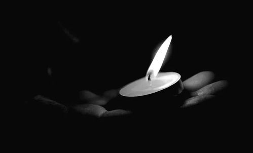 桃花运与死神的约会时间表（毫无逻辑）
