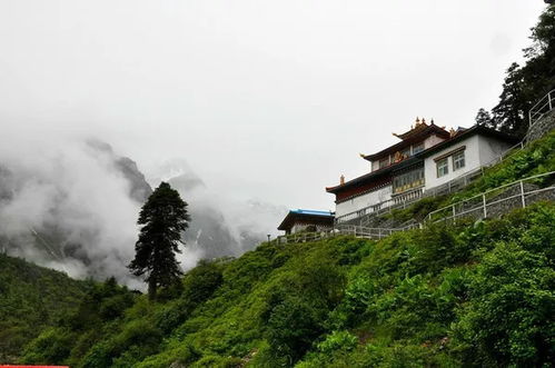 川西无人区的魅力