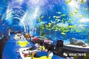 一、 消失的城市：科罗纳多岛
