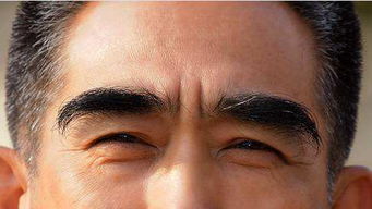 震惊！这些眉毛竟然能让你一夜暴富？！