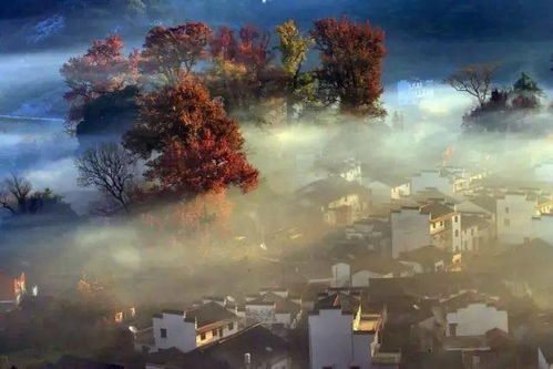 C. 海底石城（岩石与红叶共舞）