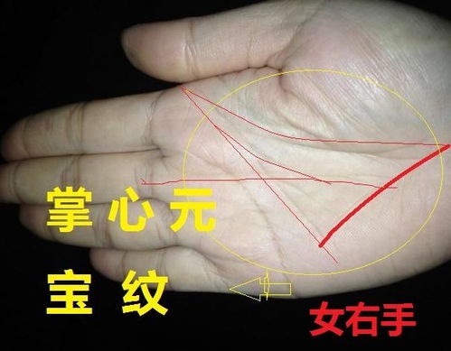 离宫手相十大吉祥手相有哪些特征？