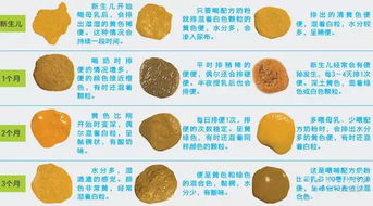 周公解梦：梦见大量粪便或屎意味着什么？有什么特殊含义？