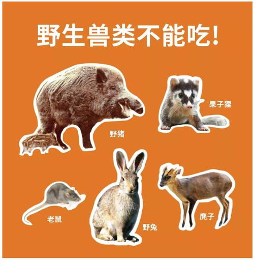 不Neng吃禽类是什么病,家禽不Neng吃的部位
