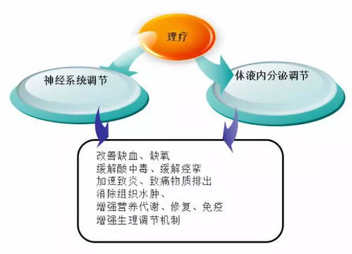 2）数字化时代里的名字游戏