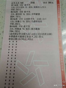一、 乱七八糟的前言——我到底在写啥