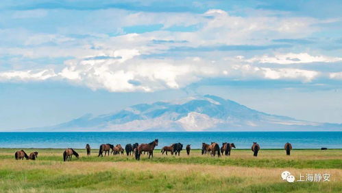 文化冲击要人命