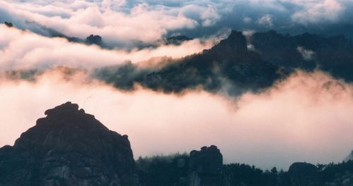 崂山天气概况：一览今日与今后
