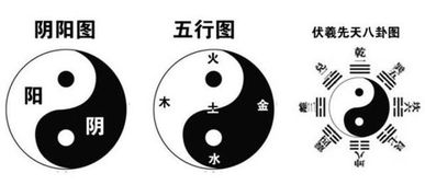 八字中金土占多数且缺木，这样的命理格局有何特点？