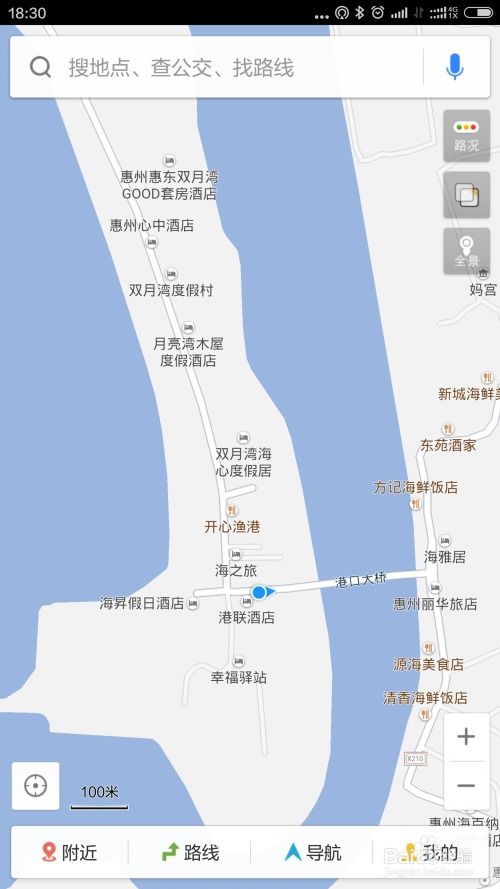 第一天：惠州双月湾 - 人比鱼还多