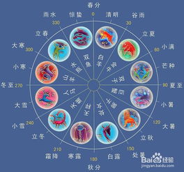 二、 黄道十二宫篇：星座特质定制化命名