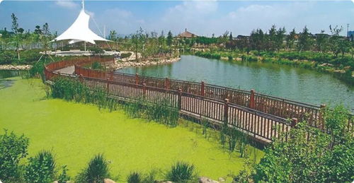 线路二：涟水湖+湿地公园