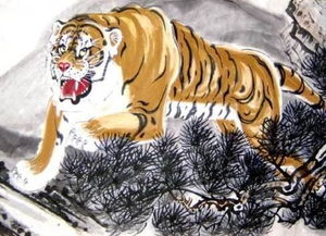 属虎的看过来！你们要咸鱼翻身了！