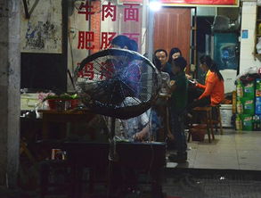 夜幕降临的首尔街头， 烤肉的味道像霓虹灯一样乱闪