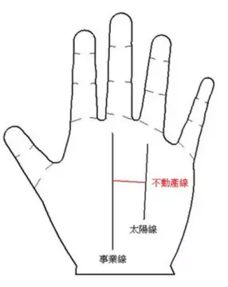 手相学领域的手相特征