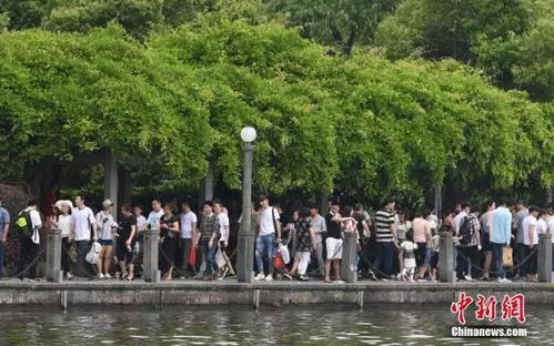 一、 西湖景区的蜕变：我眼中的奇迹