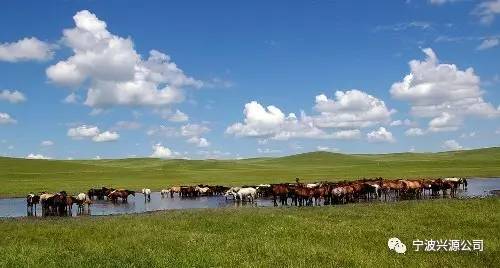千年草原瑰宝，蒙古族特bie风俗，传承爆款来袭！